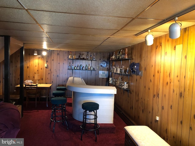 bar with carpet floors, a dry bar, a paneled ceiling, and wooden walls