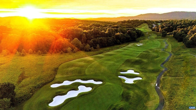 aerial view featuring a mountain view, a forest view, and golf course view