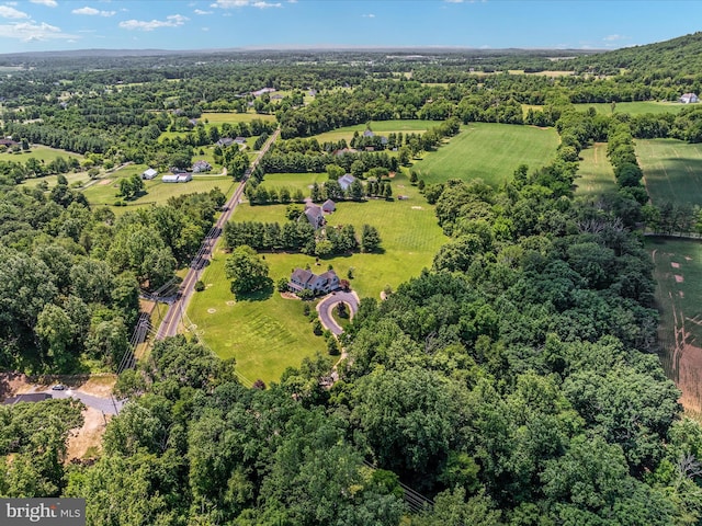 bird's eye view with a view of trees