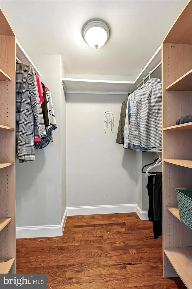 spacious closet with wood finished floors