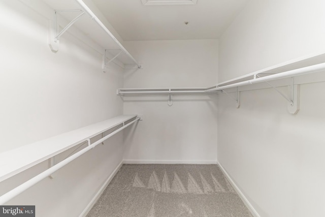 walk in closet with carpet flooring