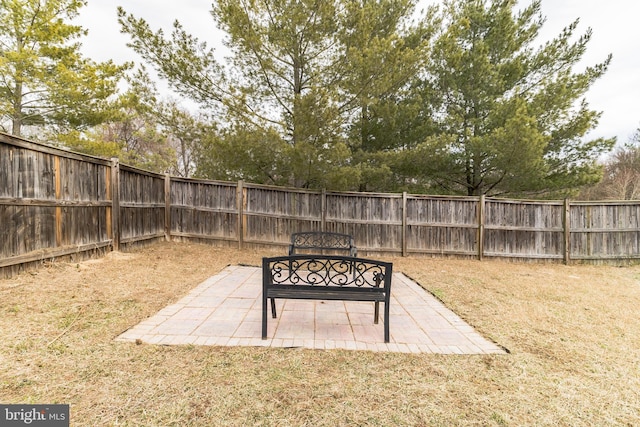 view of yard featuring a patio area and a fenced backyard