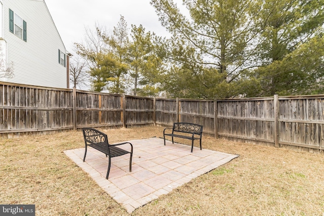 view of yard featuring a patio area and a fenced backyard