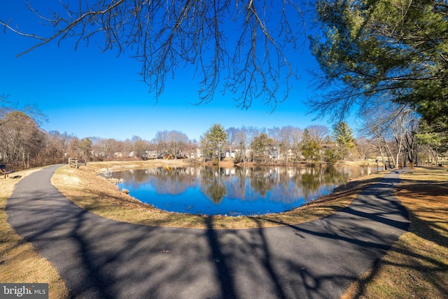 view of water feature