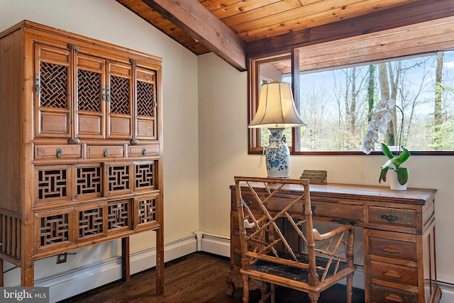 wine cellar featuring beam ceiling, plenty of natural light, wood ceiling, and dark wood-style floors