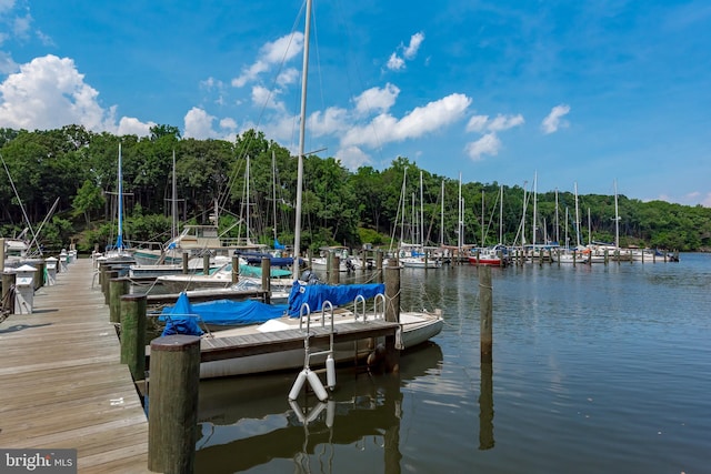 dock area with a water view