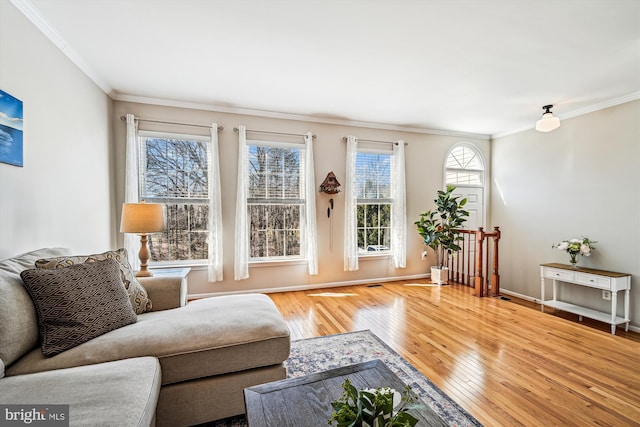 living room with baseboards, hardwood / wood-style floors, and crown molding