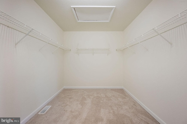 walk in closet with attic access, visible vents, and light colored carpet