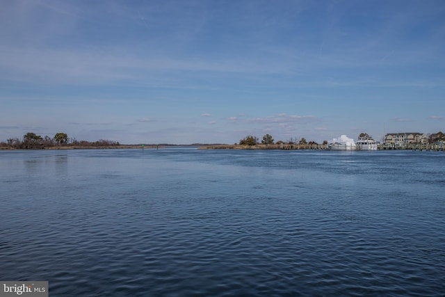 property view of water