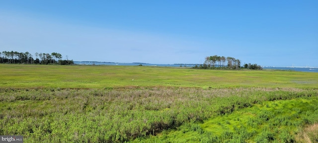 view of landscape featuring a rural view