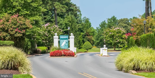 view of street featuring a gated entry, curbs, and street lighting