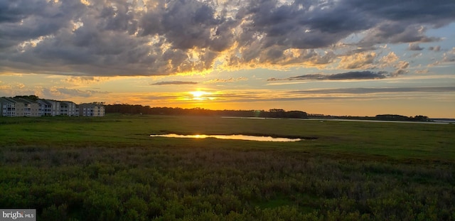 view of nature