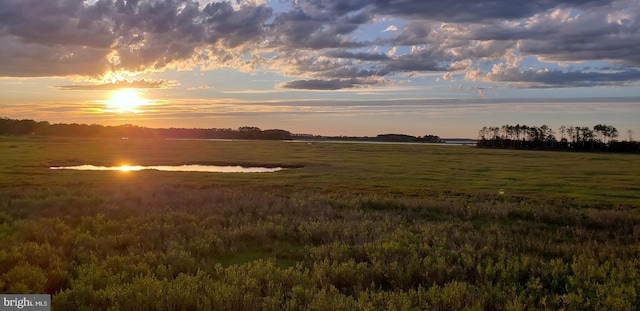 nature at dusk with a water view