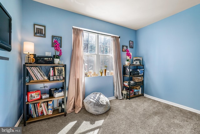 interior space with carpet and baseboards