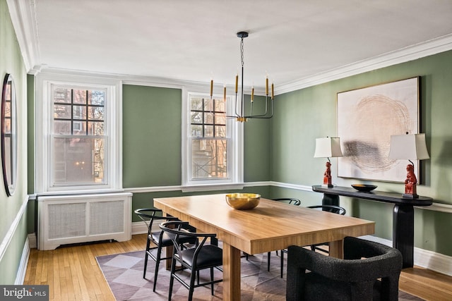 dining area with crown molding, radiator, plenty of natural light, and wood-type flooring