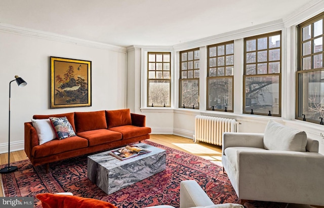 living room with baseboards, ornamental molding, wood finished floors, and radiator