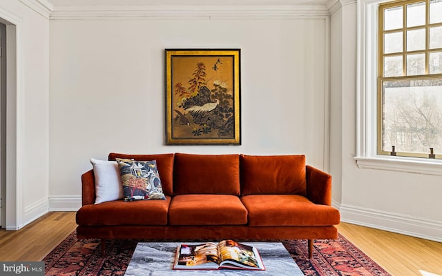 living area with ornamental molding, baseboards, and wood finished floors