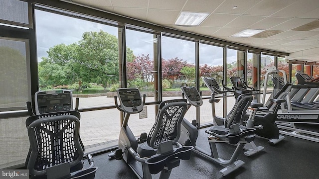 workout area featuring a paneled ceiling and a wall of windows