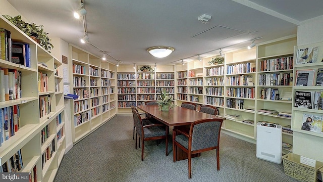 interior space with carpet floors, bookshelves, and track lighting