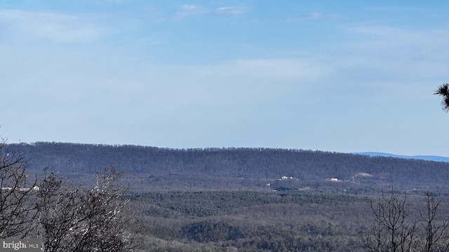 mountain view featuring a wooded view