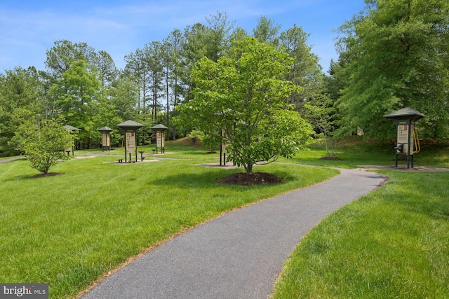 view of property's community with a yard