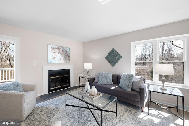 living area with a glass covered fireplace, wood finished floors, and baseboards