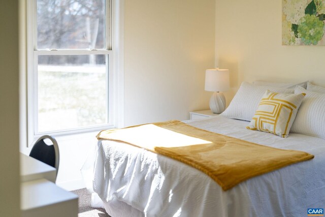 bedroom with carpet flooring