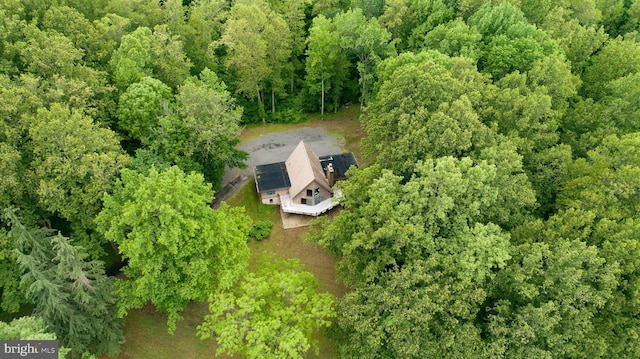 15431 Machodoc Dr, King George, VA 22485 - view of subject property with a forest