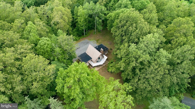 15431 Machodoc Dr, King George, VA 22485 - view of subject property with a heavily wooded area