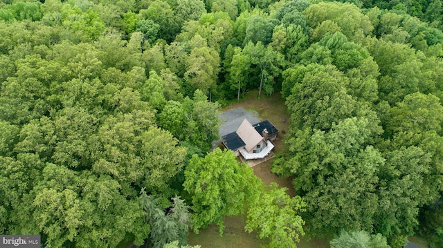 15431 Machodoc Dr, King George, VA 22485 - view from above of property