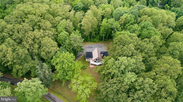 15431 Machodoc Dr, King George, VA 22485 - view from above of property