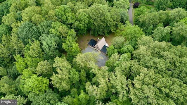 15431 Machodoc Dr, King George, VA 22485 - aerial view of property and surrounding area featuring a heavily wooded area