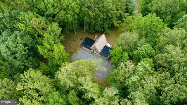 15431 Machodoc Dr, King George, VA 22485 - view from above of property featuring a heavily wooded area