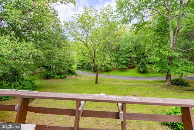 15431 Machodoc Dr, King George, VA 22485 - view of green lawn
