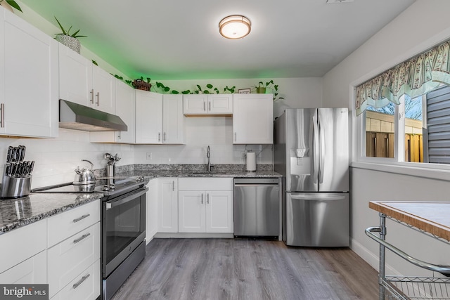 kitchen featuring decorative backsplash, appliances with stainless steel finishes, white cabinetry, a sink, and under cabinet range hood