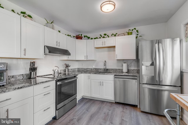 kitchen with tasteful backsplash, appliances with stainless steel finishes, stone counters, under cabinet range hood, and a sink