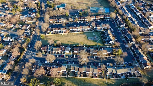 bird's eye view