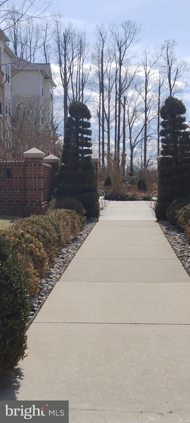 view of road with concrete driveway