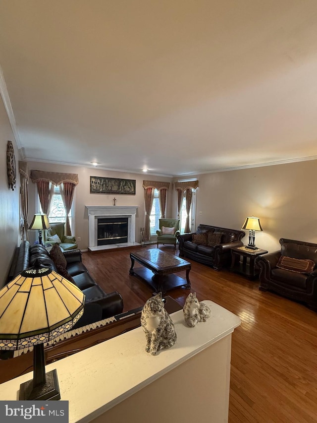 living room with a glass covered fireplace, wood finished floors, and ornamental molding