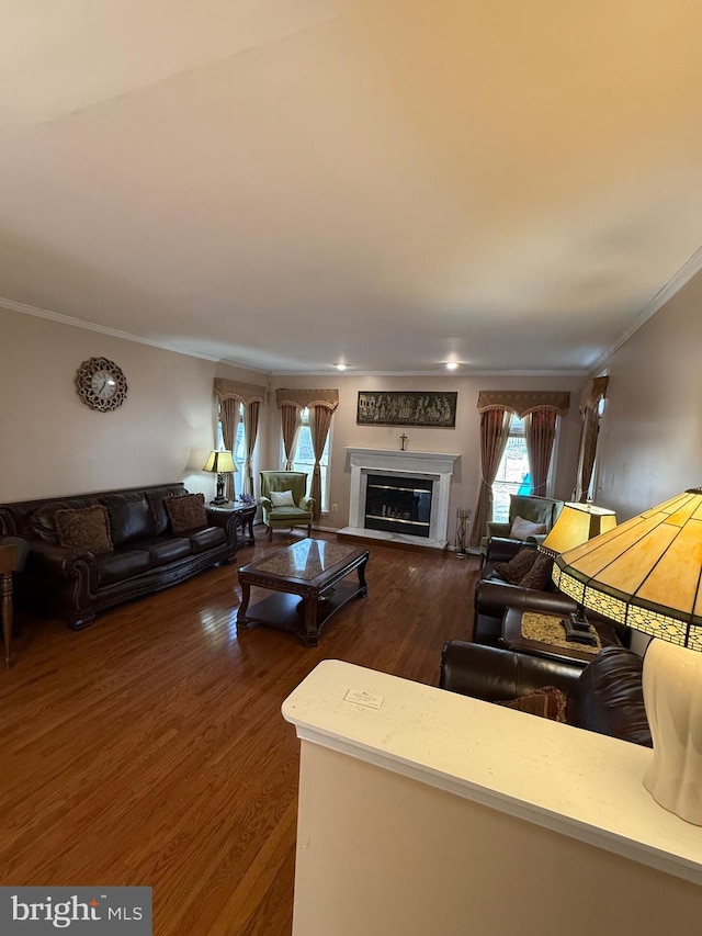 living room with a glass covered fireplace, dark wood-type flooring, and ornamental molding