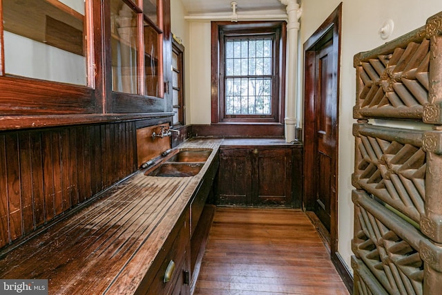 interior space with dark wood-style floors and a sink