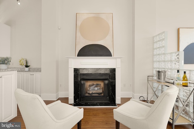 sitting room featuring baseboards, a premium fireplace, and wood finished floors