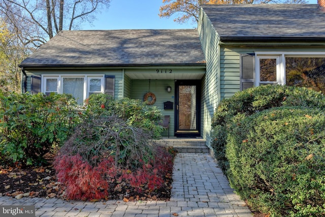 view of front of house featuring roof with shingles