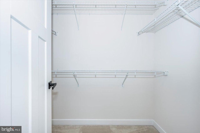 7508 Blue Sun Dr, Glen Burnie, MD 21060 - spacious closet featuring carpet