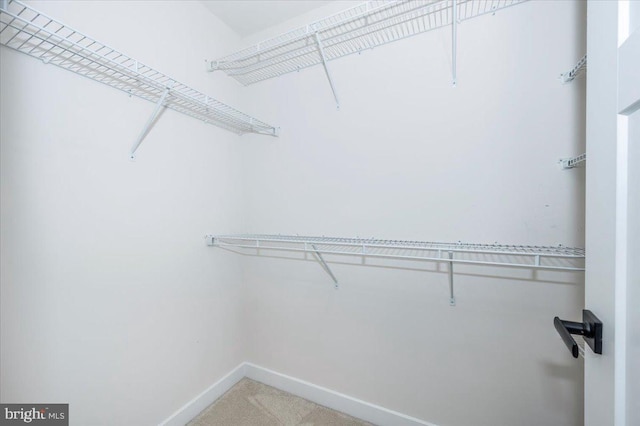 7508 Blue Sun Dr, Glen Burnie, MD 21060 - walk in closet with carpet