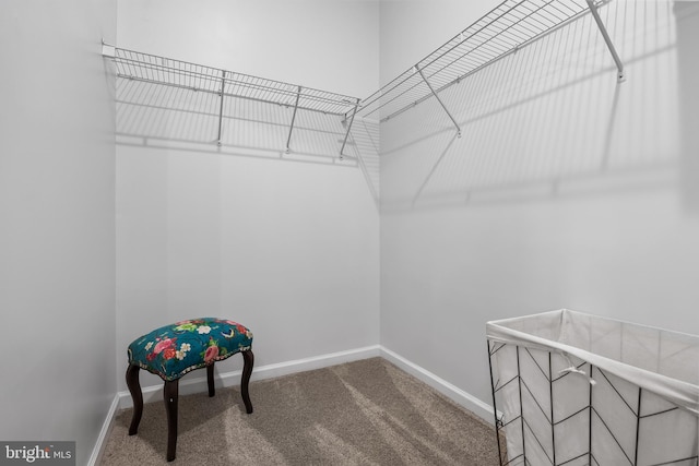 spacious closet with carpet floors