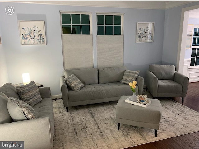 living room featuring ornamental molding and wood finished floors