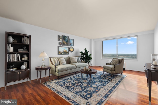 living area with wood finished floors