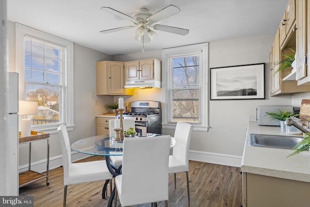 dining area with wood finished floors, a ceiling fan, and baseboards