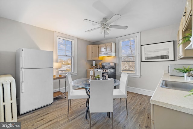 dining area featuring light wood-style floors, a wealth of natural light, ceiling fan, and baseboards